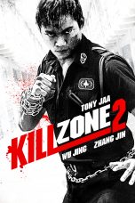Movie poster: Kill Zone 2