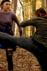 Movie poster: Cobra Kai Season 2 Episode 7