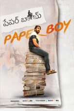 Movie poster: Paper Boy
