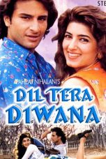 Movie poster: Dil Tera Diwana