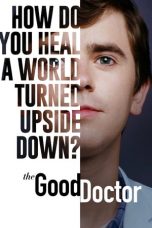 Movie poster: The Good Doctor Season 4