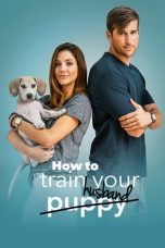 Movie poster: How to Train Your Husband