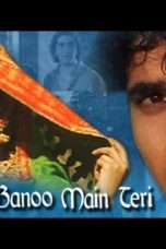 Movie poster: Dulhan Banoo Main Teri