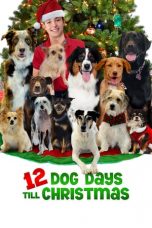 Movie poster: 12 Dog Days Till Christmas