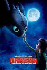 Movie poster: How to Train Your Dragon