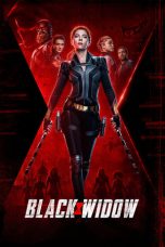 Movie poster: Black Widow