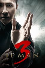 Movie poster: Ip Man 3