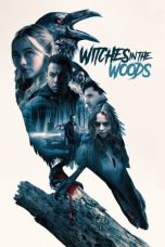 Movie poster: Witches in the Woods