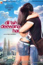 Movie poster: Dil Toh Deewana Hai