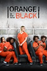 Movie poster: Orange Is the New Black Season 3