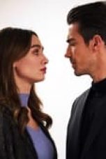 Movie poster: Price Of Passion Season 1 Episode 15