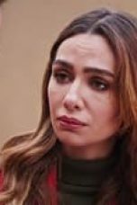 Movie poster: Price Of Passion Season 1 Episode 13