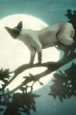 Movie poster: The Sandman Season 1 Episode 11