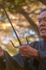 Movie poster: Cobra Kai Season 5 Episode 7