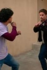 Movie poster: Cobra Kai Season 5 Episode 5