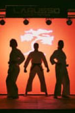 Movie poster: Cobra Kai Season 2 Episode 3