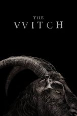 Movie poster: The Witch