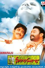Movie poster: Seetharama Raju