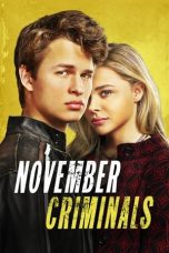 Movie poster: November Criminals