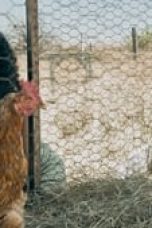 Movie poster: The Power Season 1 Episode 4