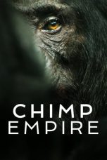 Chimp Empire 2023  