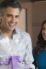 Movie poster: Jane the Virgin Season 1 Episode 12