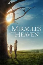 Movie poster: Miracles from Heaven 2016