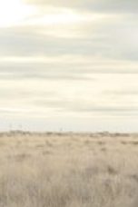 Movie poster: Breaking Bad Season 3 Episode 13