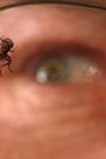 Movie poster: Breaking Bad Season 3 Episode 10