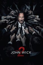 Movie poster: John Wick: Chapter 2 04012023