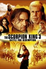 Movie poster: The Scorpion King 3: Battle for Redemption 192024