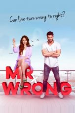 Movie poster: Mr. Wrong Season 1 Episode 20