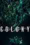 Movie poster: Colony (2026)